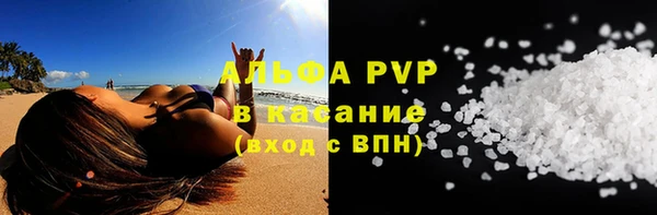 эйфоретик Алзамай