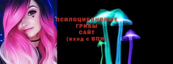 героин Алексин