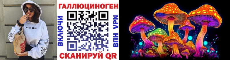 blacksprut ССЫЛКА  где можно купить   Сясьстрой  Псилоцибиновые грибы Psilocybine cubensis 